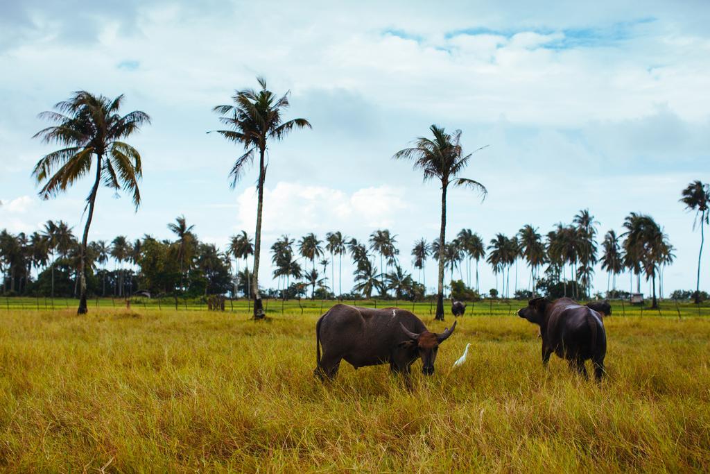 Yataa Spa And Resort Ko Sukon Eksteriør billede